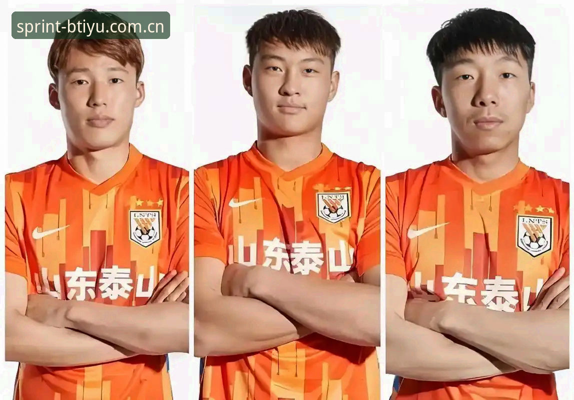 B体育操作界面iOS版 中国足协第三批禁足名单详解:B体育操作界面iOS版用户体验报告